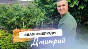 Что люди делают с вкладами в Фармация