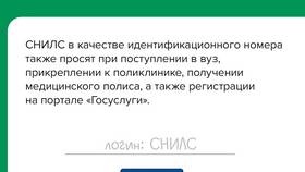 Что такое СНИЛС в Госуслугах в Фармация