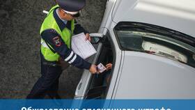 Как обжаловать штраф ГИБДД юридическому лицу