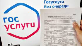 Как получить визу через Госуслуги в Фармация