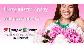 Как работает оплата сплитом в Яндекс в Фармация