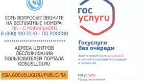 Как узнать информацию о заработной плате через портал Госуслуги в Фармация
