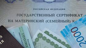 Материнский капитал как форма государственной поддержки населения в Фармация