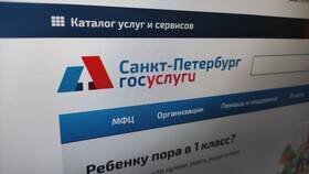Оплата через Госуслуги: сколько идет платеж приставам