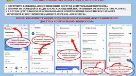 Почему не работает запись на Госуслугах? в Фармация