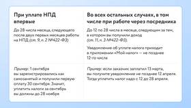 Самозанятый: что сдает в налоговую в Фармация