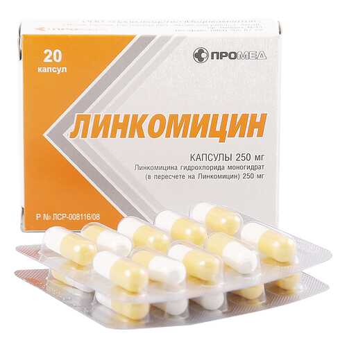 Линкомицин гидрохлорид капсулы 0,25 г 20 шт. в Фармация