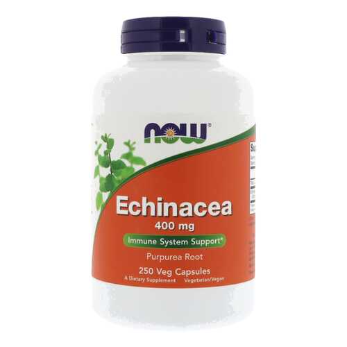 Добавка для иммунитета NOW Echinacea Root 250 капс. натуральный в Фармация